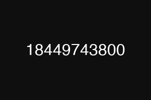 18449743800