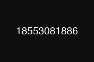 18553081886