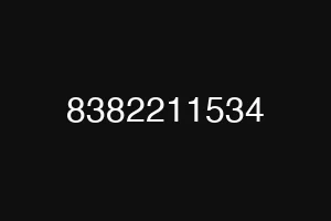 8382211534