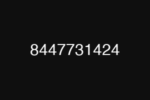 8447731424