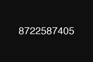 8722587405
