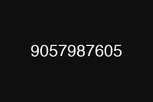 9057987605