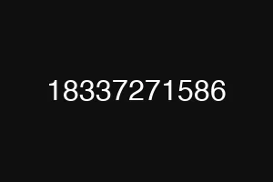 18337271586