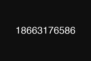 18663176586