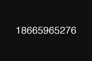 18665965276