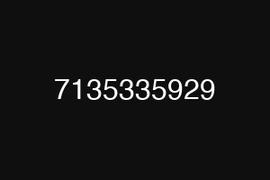 7135335929