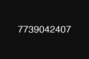 7739042407