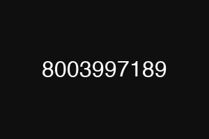 8003997189