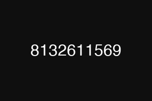 8132611569