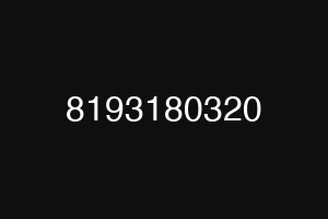 8193180320