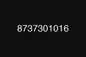 8737301016