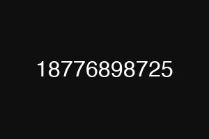 18776898725