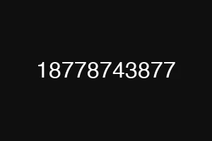 18778743877