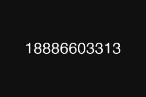 18886603313