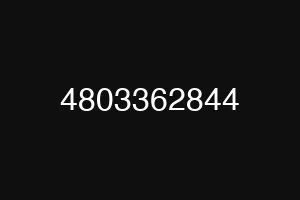 4803362844