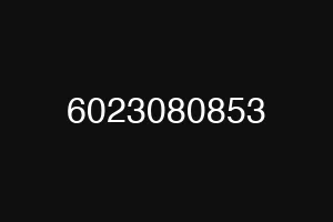 6023080853