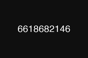 6618682146