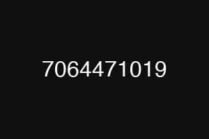 7064471019