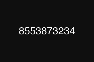 8553873234