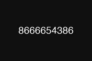 8666654386