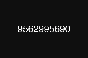 9562995690